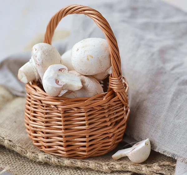 Świeżych grzybów (pieczarki) — Zdjęcie stockowe