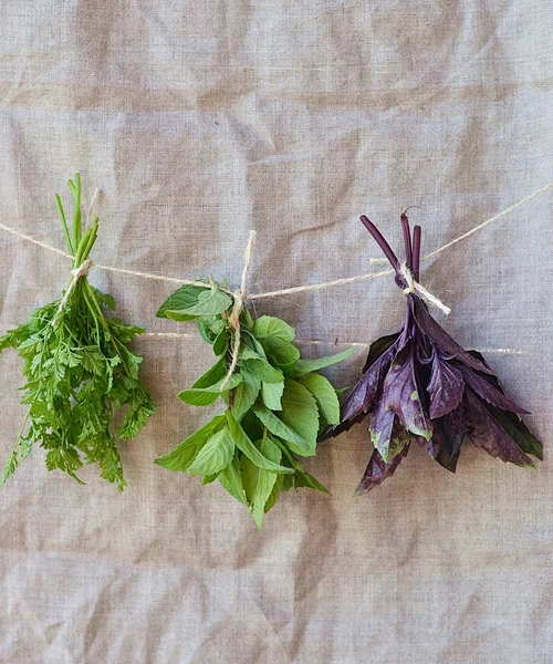 Sweet herbs — Stock Photo, Image