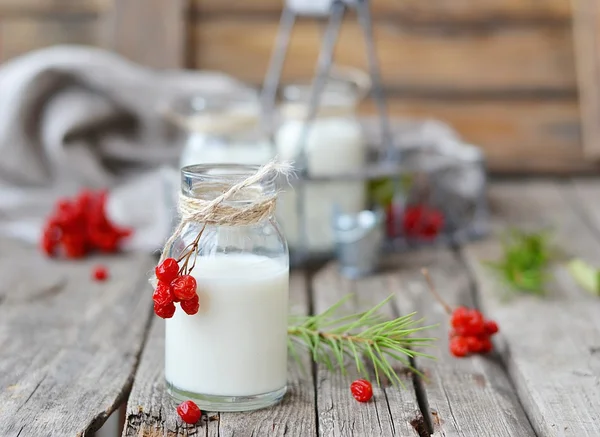 Молоко в бутылке — стоковое фото