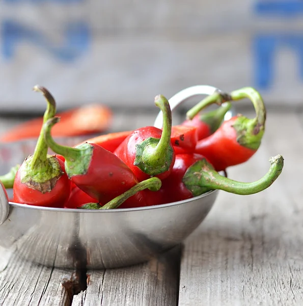 Chili pepper — Stock fotografie