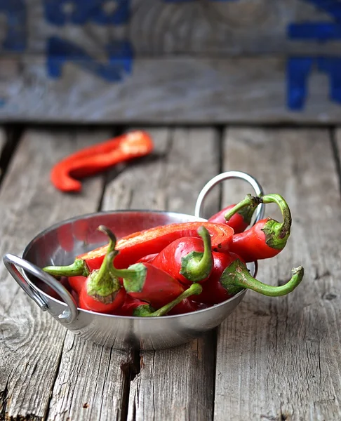 Chilischote — Stockfoto