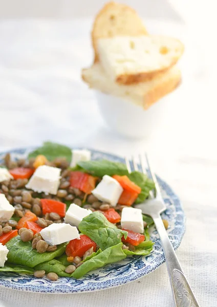 Spinat und Linsensalat — Stockfoto