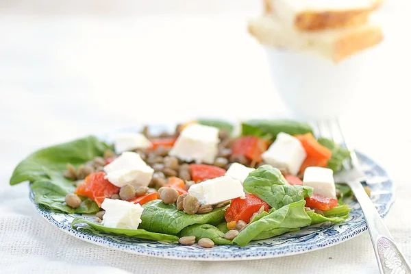 Ensalada de espinacas y lentejas —  Fotos de Stock