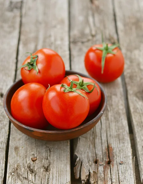 Tomates mûres et fraîches — Photo