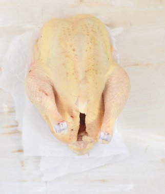 taze, Organik tavuk.