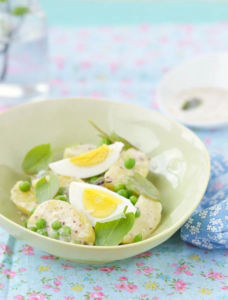 Spring potato salad with sorrel and eggs — Stock Photo, Image