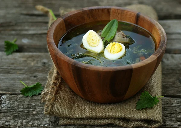 Sopa de urtiga tradicional russa com ovos e creme azedo — Fotografia de Stock