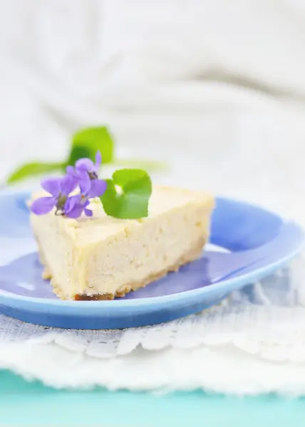 Jordnötter cheesecake segment — Stockfoto