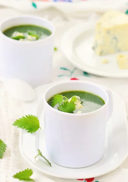 Zuppa di crema di ortica selvatica con formaggio blu   . — Foto Stock