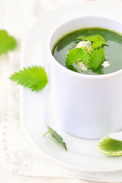 Wild nettle cream soup with blue cheese  . — Stockfoto