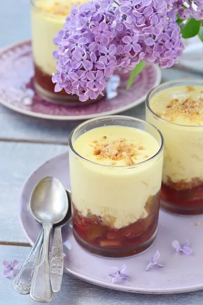 Десерт из ревеня с английским кремом — стоковое фото