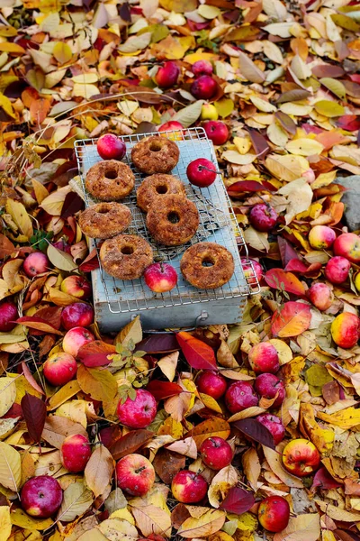 Apfelmost Donuts Herbstlichen Garten Selektiver Fokus — Stockfoto