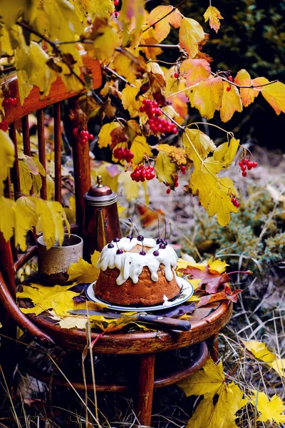 Apples Rice Cake Autumn Garden Selective Focus Style Rustic — Stock Photo, Image