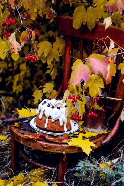 秋天花园的苹果和米糕 有选择的焦点 风格乡村C — 图库照片