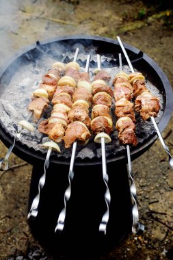Domuz Shashlikızgara bahçede .seçici odak