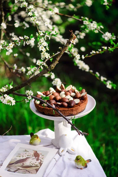 Pasquale Cioccolato Cheesecake Traditional Pasticcini Pasquali Focus Selettivo — Foto Stock