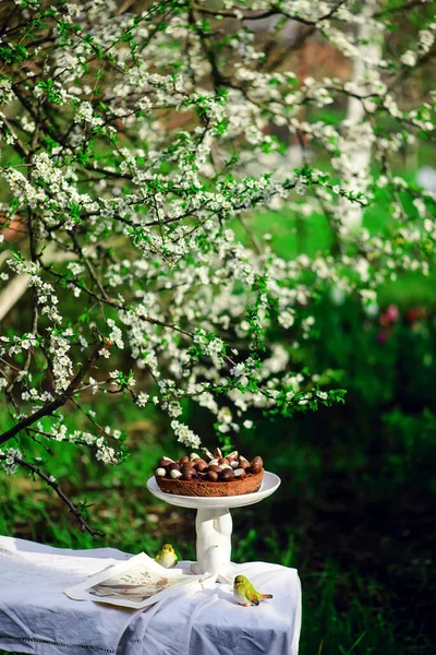 Pasen Chocolade Cheesecake Traditional Pasen Gebak Selectieve Focus — Stockfoto