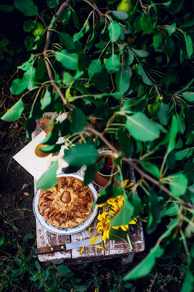 과일파이는 정원에 탁자에 선택적으로 초점을 맞춘다 스타일 — 스톡 사진