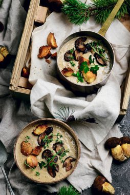 Yaban mantarlı krema çorbası. Tarz mahsulü. Seçici odaklanma.