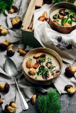 Yaban mantarlı krema çorbası. Tarz mahsulü. Seçici odaklanma.