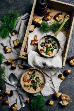 Yaban mantarlı krema çorbası. Tarz mahsulü. Seçici odaklanma.