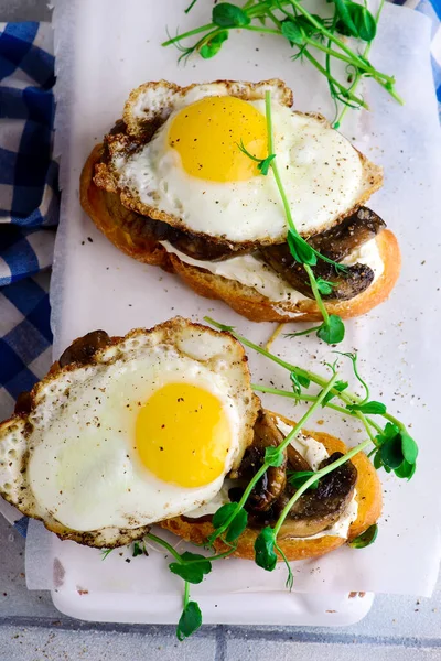 Bruschetta Mit Wilden Pilzen Style Vintage Selective Focus — Stockfoto