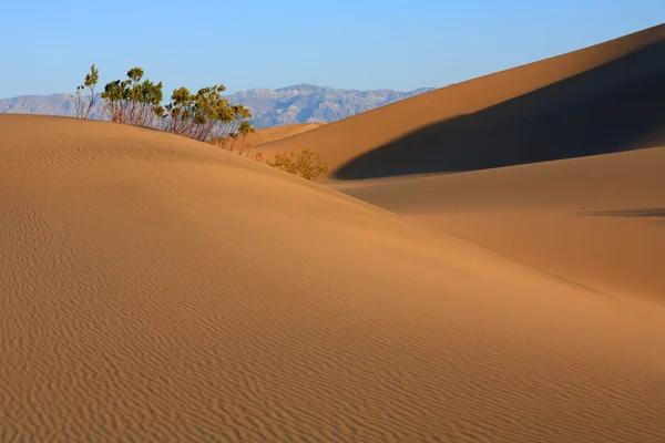 Dunas de areia do Vale da Morte — Fotografia de Stock