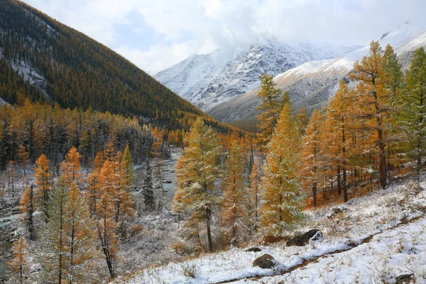 Altai bergen — Stockfoto