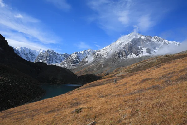 Montañas Altai — Foto de Stock