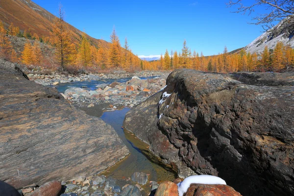 Montañas Altai — Foto de Stock