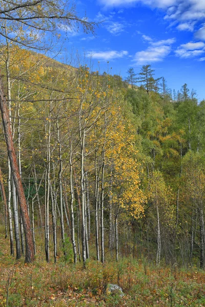 Altai bergen — Stockfoto