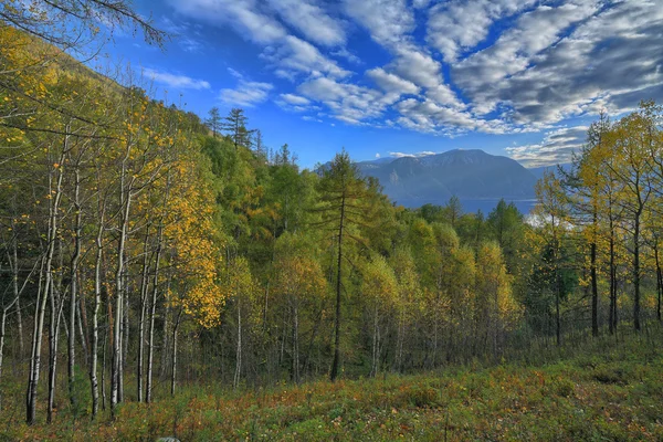 Montañas Altai — Foto de Stock