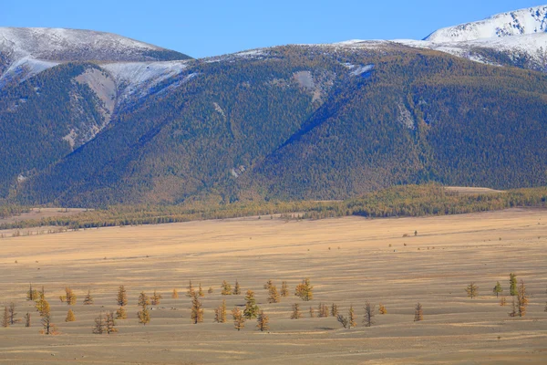 Altai bergen — Stockfoto