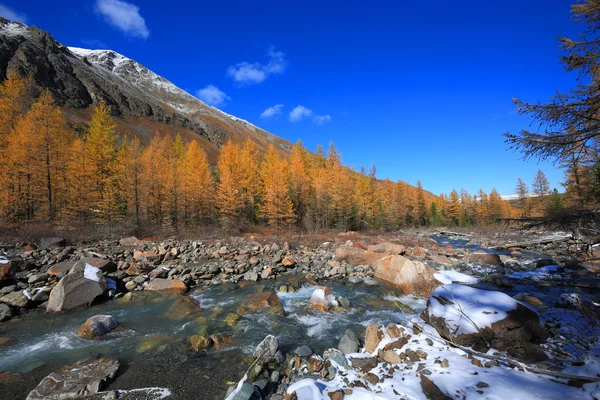 Altai bergen — Stockfoto