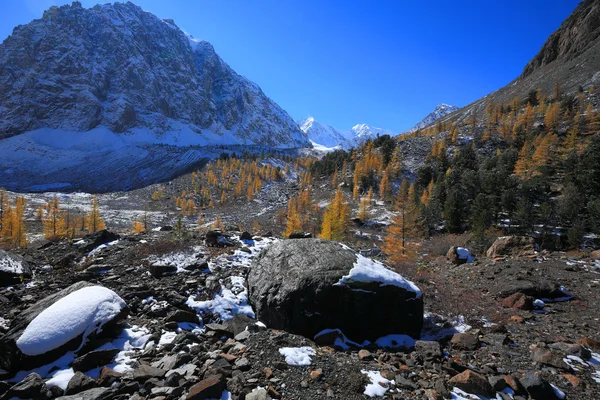 Montañas Altai — Foto de Stock