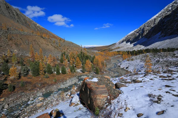 Алтайські гори — стокове фото