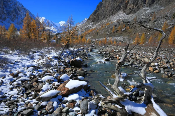 Altay Dağları — Stok fotoğraf