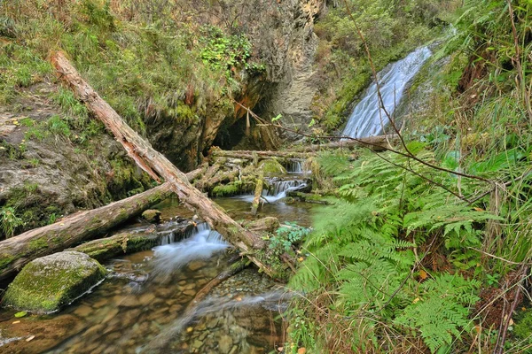 Altaj-hegység — Stock Fotó