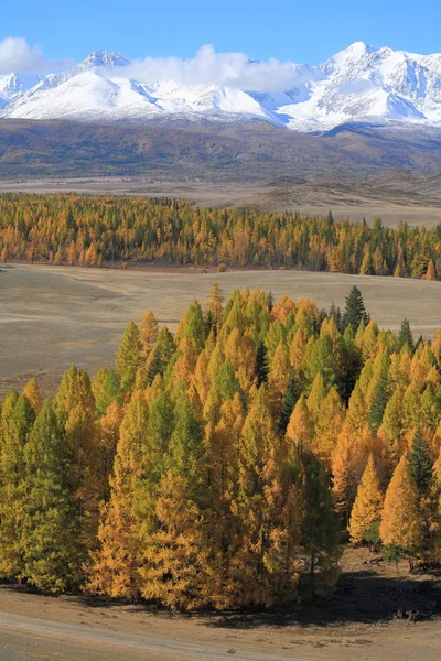 Алтайский хребет — стоковое фото