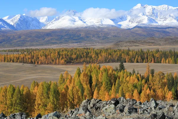 Алтайські гори — стокове фото