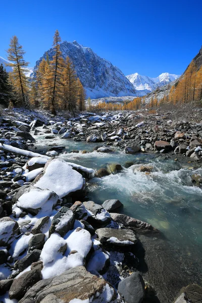 Алтайські гори — стокове фото