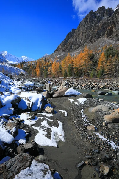 Altay Dağları — Stok fotoğraf