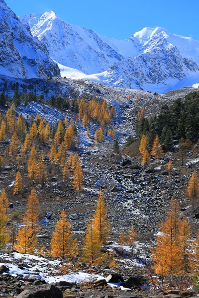 Montanhas Altai — Fotografia de Stock