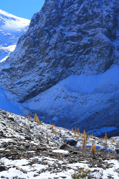 阿尔泰山 — 图库照片