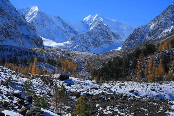 Montagne Altai — Foto Stock