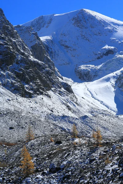 Montanhas Altai — Fotografia de Stock