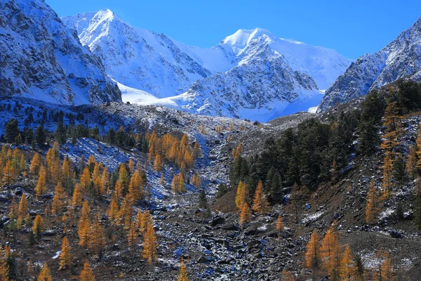 Montañas Altai —  Fotos de Stock