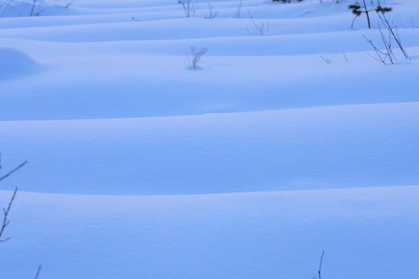 Winterlandschap — Stockfoto