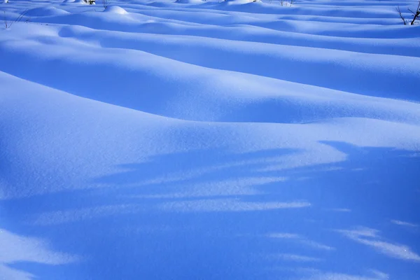 Paisagem inverno — Fotografia de Stock