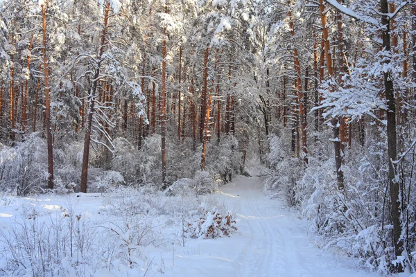 Paesaggio invernale — Foto Stock